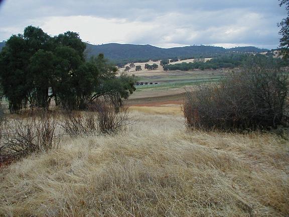 A scenic landscape featuring dry grass and shrubs in the foreground, with patches of trees and rolling hills in the background. The sky is overcast, hinting at a cool and possibly dreary day. The distant hills are dotted with greenery, contrasting with the golden hues of the grass. Sweetwater Trail mountain bike trail.