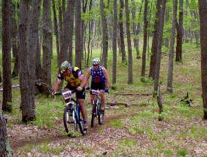 Two mountain bikers riding through a forested trail, surrounded by trees and greenery. They are wearing helmets and cycling gear, focused on navigating the path ahead. Hanson Hills mountain bike trail.