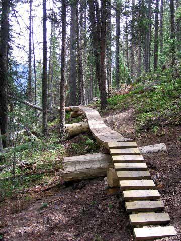A winding wooden boardwalk pathway through a forest, surrounded by tall trees and greenery, leading through a natural landscape. Trestle Bike Park mountain bike trail.