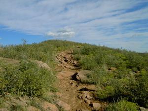 A rocky trail leading up a small hill, surrounded by green shrubs and grass under a blue sky with scattered clouds. Devil's Backbone mountain bike trail.