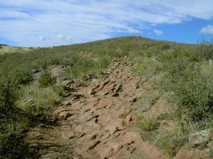 A rocky trail winding through a grassy landscape leading to a gentle hill under a blue sky with scattered clouds. Devil's Backbone mountain bike trail.