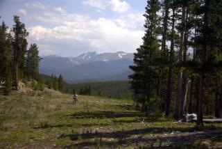 A scenic view of a mountainous landscape with snow-capped peaks in the background. In the foreground, there is a grassy area surrounded by tall trees, and a person riding a bicycle along a path. The sky is partly cloudy, adding a serene ambiance to the natural setting. Trestle Bike Park mountain bike trail.