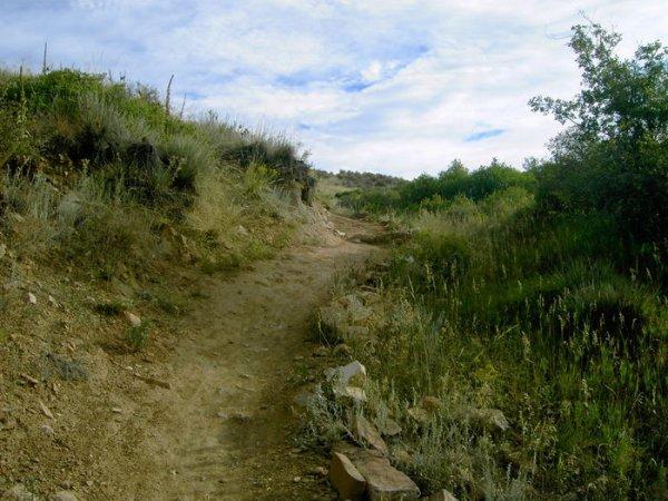 A winding dirt path meanders through a hilly landscape, surrounded by green vegetation and rocky outcrops under a partly cloudy sky. Devil's Backbone mountain bike trail.