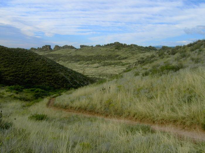 A winding dirt path leads through grassy hills with sparse vegetation under a cloudy sky, showcasing a serene and natural landscape. Devil's Backbone mountain bike trail.