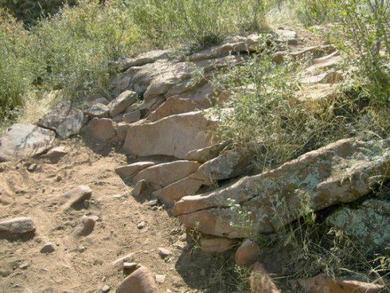 Rocky terrain with scattered rocks, dry soil, and patches of green vegetation in a natural outdoor setting. Devil's Backbone mountain bike trail.