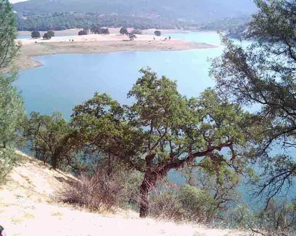 A scenic view of a tranquil lake surrounded by rolling hills and trees. The water reflects the sky, and a sandy shore is visible in the distance. Lush vegetation frames the foreground, creating a natural, peaceful atmosphere. Sweetwater Trail mountain bike trail.