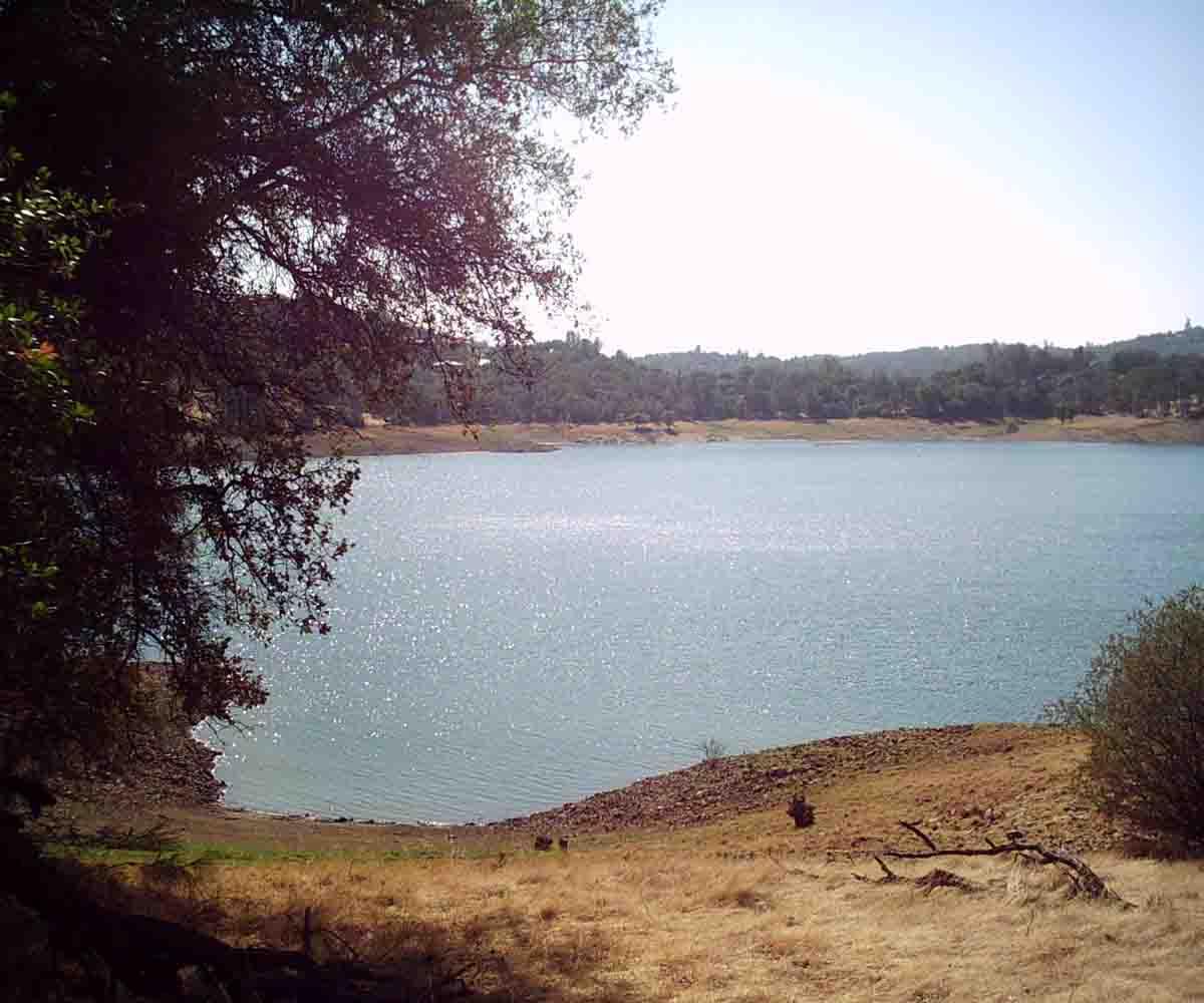 A serene view of a calm lake surrounded by grassy banks and wooded hills, with sunlight sparkling on the water's surface. Sweetwater Trail mountain bike trail.