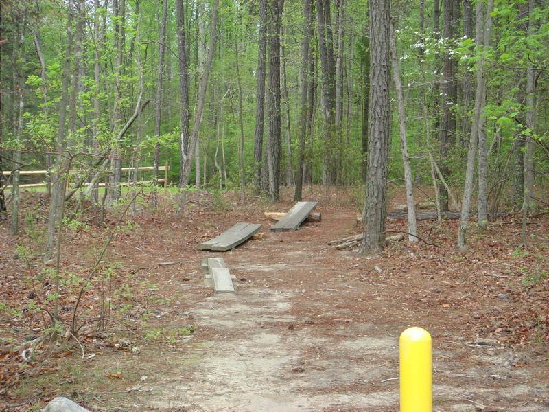 A narrow dirt path winding through a wooded area, surrounded by tall trees and scattered green foliage. Two wooden planks are laid across the path, and a yellow post is visible on the right side. The ground is covered with fallen leaves and dirt, indicating a natural, rustic environment. Freedom Park (aka:district Park) mountain bike trail.