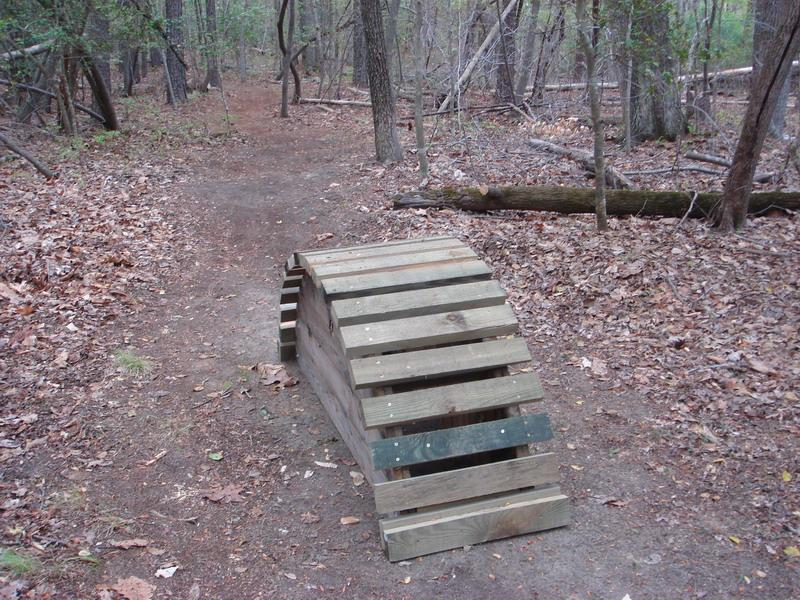 A wooden bike ramp made of slats, positioned along a dirt path in a forested area, surrounded by fallen leaves and trees. Freedom Park (aka:district Park) mountain bike trail.