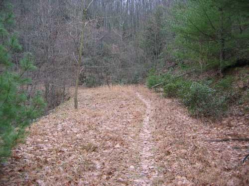 A winding dirt path through a wooded area, surrounded by trees and underbrush. The ground is covered with fallen leaves, and the landscape appears to be in early spring or late fall with bare branches and some evergreen foliage. Iron Mountain mountain bike trail.