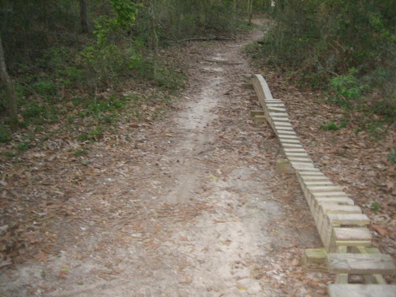 A winding dirt path through a wooded area, with fallen leaves covering the ground. A wooden walkway bridge crosses a section of the path, leading further into the forest. Comite Trails mountain bike trail.