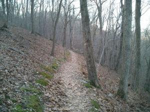 A winding dirt path through a wooded area, lined with bare trees and scattered fallen leaves. The trail gently slopes upward on the left side, surrounded by a natural landscape. Castlewood State Park mountain bike trail.