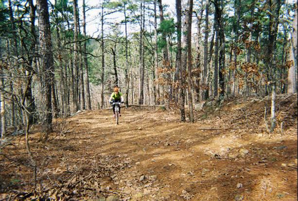 A cyclist riding on a dirt trail through a wooded area with tall trees and scattered leaves. The path is surrounded by greenery and shows signs of trailside foliage. The cyclist is wearing a bright green jacket and is focused on navigating the trail. Old Military Road Trail mountain bike trail.
