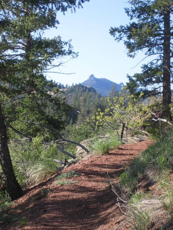 A narrow dirt path winding through a forest, surrounded by tall trees and greenery, leading towards distant mountains under a clear blue sky. Colorado Trail: South Platte To Buffalo Creek mountain bike trail.