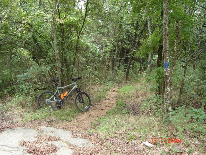 A mountain bike rests against a tree near a narrow dirt trail winding through a lush, green forest. The scene features abundant foliage, with a few trees marked by blue paint in the background. The path leads deeper into the woods, suggesting opportunities for outdoor exploration. Oklahoma "ankle Express" Hiking Trail - Greenleaf State Park mountain bike trail.
