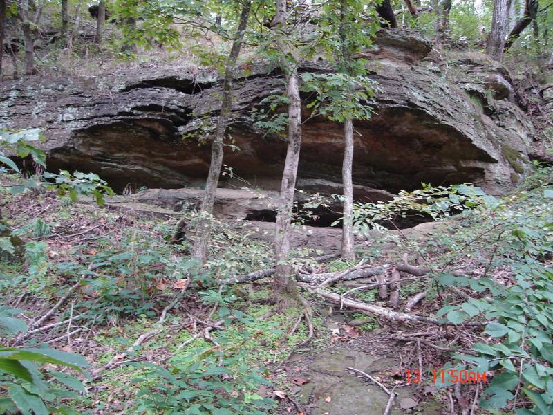 A natural rock overhang surrounded by lush greenery, including small trees and underbrush, with scattered branches on the ground. The image captures a serene woodland setting. Oklahoma "ankle Express" Hiking Trail - Greenleaf State Park mountain bike trail.