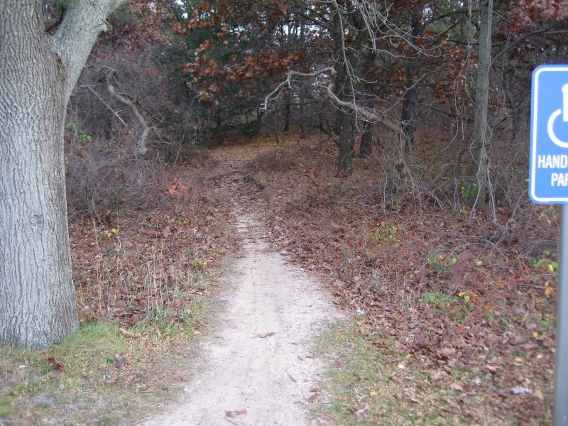 A narrow dirt path leads into a wooded area, surrounded by trees and fallen leaves. A blue sign marked with a white wheelchair symbol indicates accessibility for people with disabilities. Bethpage State Park mountain bike trail.