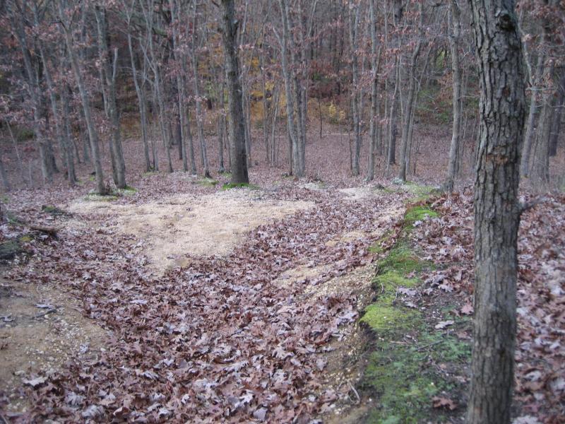A wooded area featuring bare trees with sparse foliage, a ground covered in fallen leaves, and a sandy path leading through the landscape. Bethpage State Park mountain bike trail.