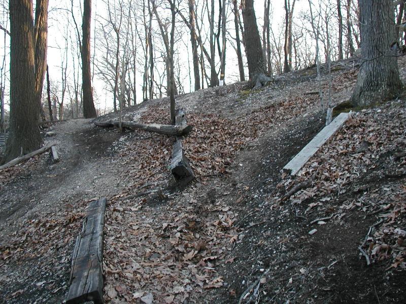 A wooded area with a sloped path and scattered leaves, featuring two diverging trails. Wooden logs are positioned along the trails, and tall trees rise in the background, suggesting a serene forest environment. The scene is illuminated by soft, natural light, indicating it may be early morning or late afternoon. Trail View State Park mountain bike trail.