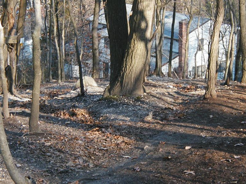 A wooded area with several bare trees and colorful leaves scattered on the ground. In the background, a house with a white exterior and a chimney is partially visible among the trees. Trail View State Park mountain bike trail.