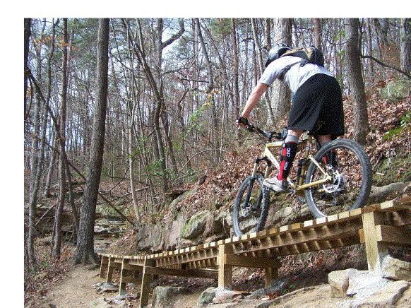 A mountain biker navigating a wooden bridge on a trail surrounded by trees and rocky terrain. The biker is wearing a helmet and protective gear while balancing on the narrow path. Hurricane Creek mountain bike trail.
