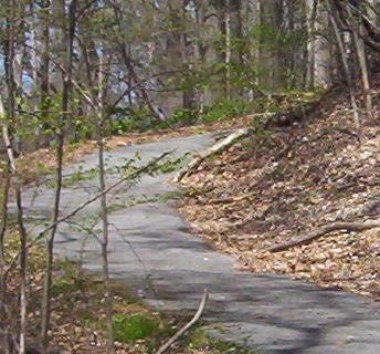 A winding pathway through a forested area, surrounded by trees and scattered leaves on the ground, inviting exploration and a connection with nature. Bluff Trail mountain bike trail.