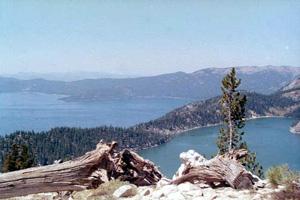 A scenic view of a lake surrounded by mountains and forests, with a clear blue sky above. In the foreground, there are fallen logs and a coniferous tree, with the tranquil waters of the lake reflecting the natural landscape. Tahoe Rim Trail mountain bike trail.