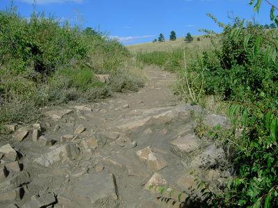 A rocky hiking trail surrounded by green vegetation under a clear blue sky. The path is uneven with scattered rocks and leads through a natural landscape. Rabbit Mountain Loop mountain bike trail.