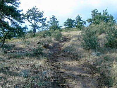 A dirt trail winding through a hilly landscape, surrounded by sparse vegetation and scattered trees under a cloudy sky. Rabbit Mountain Loop mountain bike trail.
