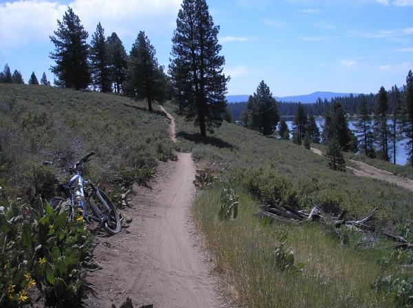 A scenic dirt biking trail winding through a lush, green landscape with trees, overlooking a body of water. A mountain bike is resting on the left side of the trail. Clear blue skies with a few clouds above. Emigrant Trail mountain bike trail.