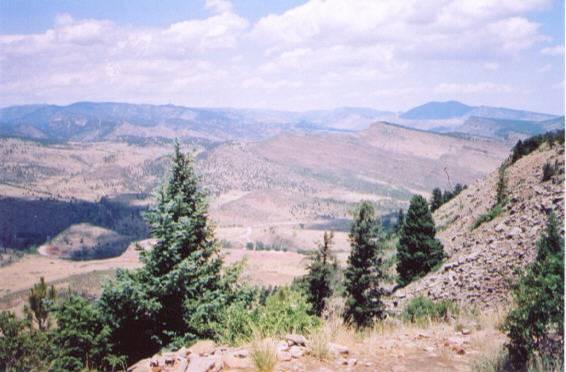 A panoramic view of rolling hills and valleys under a partly cloudy sky, with clusters of evergreen trees in the foreground and distant mountains in the background. Heil Valley Ranch mountain bike trail.