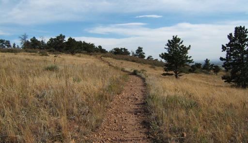 A dirt path winding through grassy terrain with scattered trees under a partly cloudy sky. Rabbit Mountain Loop mountain bike trail.