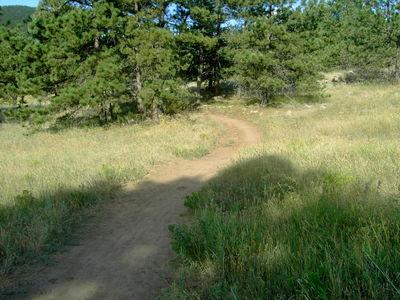 A winding dirt path surrounded by tall grass and trees under a clear blue sky. Heil Valley Ranch mountain bike trail.