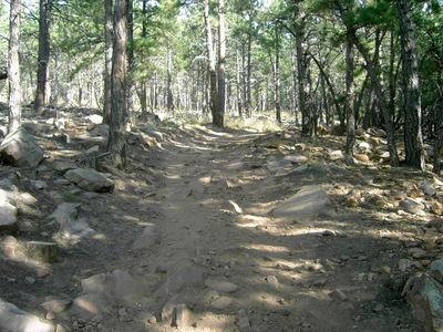 A dirt trail winding through a forested area, surrounded by trees and scattered rocks. The path is rugged and uneven, with sunlight filtering through the leaves, creating a dappled pattern on the ground. Heil Valley Ranch mountain bike trail.