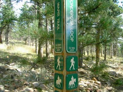 Green trail sign in a wooded area, indicating the Wapiti Trail and Ponderosa Loop with mile distances for hiking and horseback riding. Pine trees are visible in the background. Heil Valley Ranch mountain bike trail.