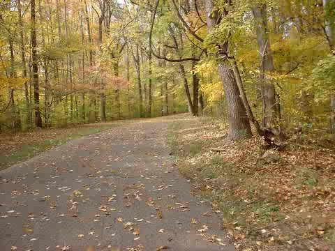 A winding path through a wooded area during autumn, lined with trees displaying vibrant yellow and orange leaves, with fallen leaves scattered along the ground. Bluff Trail mountain bike trail.