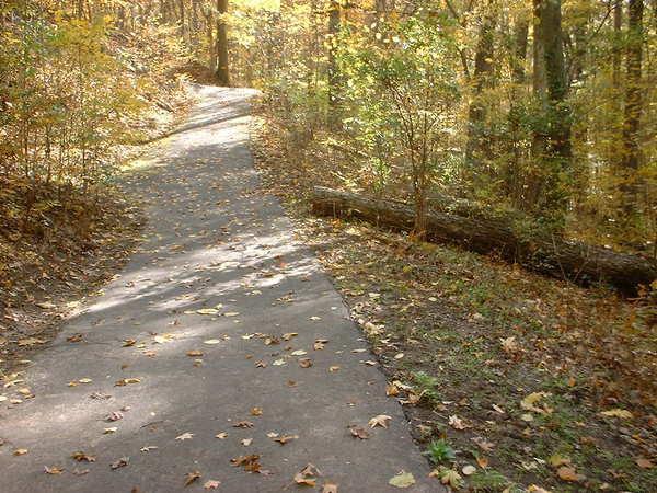 A winding, paved path through a picturesque forest in autumn, covered with fallen leaves. The scene is illuminated by warm sunlight filtering through the trees, creating a serene and inviting atmosphere. On one side, a fallen log lies beside the path amidst the foliage. Bluff Trail mountain bike trail.