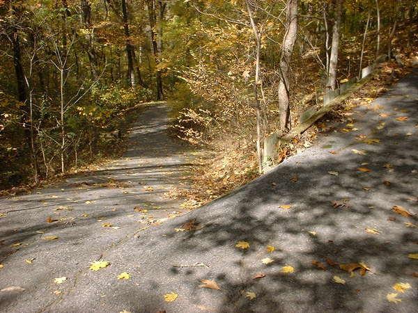 A winding path through a forest in autumn, with fallen leaves scattered on the ground. The trail splits into two directions, surrounded by trees displaying vibrant autumn colors and soft shadows cast by the sunlight. Bluff Trail mountain bike trail.