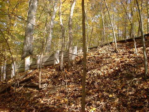 A slope covered in colorful autumn leaves, surrounded by trees with golden foliage, featuring a dilapidated wooden fence along the path. Bluff Trail mountain bike trail.