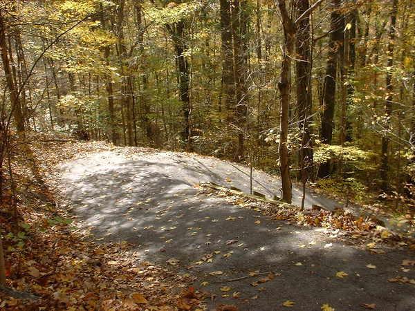 A winding, paved path through a forest with vibrant autumn foliage, featuring fallen leaves scattered along the sides. The scene is illuminated by soft sunlight filtering through the trees, creating a serene and inviting atmosphere. Bluff Trail mountain bike trail.