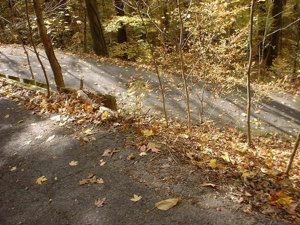 Alt text: A quiet, winding path through a forest in autumn, lined with fallen leaves in shades of yellow and brown. Sunlight filters through the trees, casting soft shadows on the pavement. Bluff Trail mountain bike trail.
