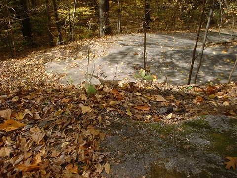 A forested area covered in autumn leaves, with a large, flat rock surface in the background. The scene captures the tranquility of nature during fall, with trees displaying yellow and orange foliage. Bluff Trail mountain bike trail.