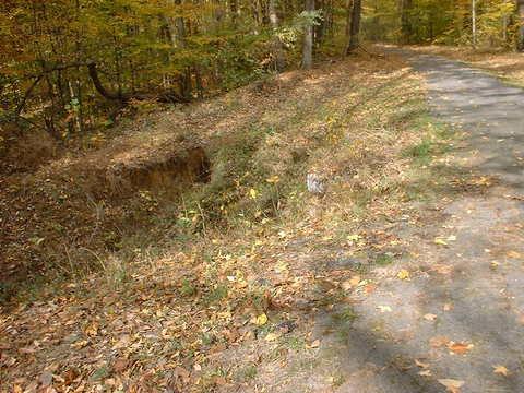 A deserted path through a forest with autumn foliage, showing a grassy area and a shallow ditch alongside the trail. Bluff Trail mountain bike trail.