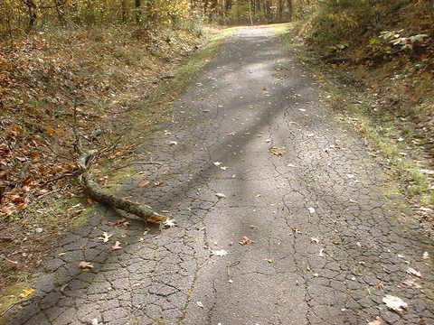 A narrow, cracked asphalt path winding through a forest, with fallen leaves scattered along the sides and a small branch lying in the foreground. The trees are partially bare, indicating early autumn. Bluff Trail mountain bike trail.