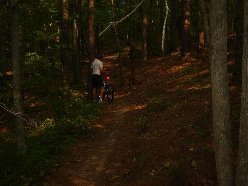 A person in a white shirt and black shorts is standing beside a bike on a narrow dirt trail in a dense, green forest. The sunlight filters through the trees, illuminating the path covered with fallen leaves and surrounded by tall trees. Bartram Trail / West Dam / Wildwood Park mountain bike trail.