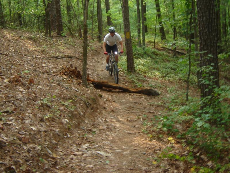 A cyclist rides along a forest trail, navigating around a fallen log while surrounded by lush greenery and tall trees. Bartram Trail / West Dam / Wildwood Park mountain bike trail.