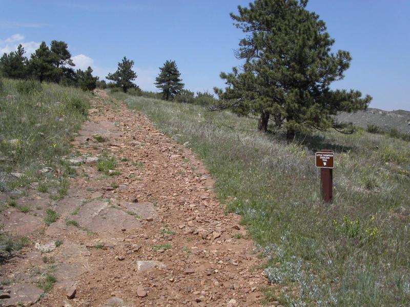 A rocky dirt trail winds upward through grassy terrain, bordered by scattered trees. A signpost labeled "Little Mountain Trail" is visible on the right side. The sky is blue with a few clouds, indicating a clear day. Rabbit Mountain Loop mountain bike trail.
