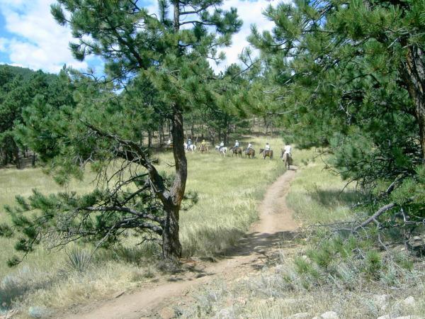 A scenic trail winding through a grassy area surrounded by trees, with several people on horseback in the background moving away from the camera. The sky is partly cloudy, creating a serene outdoor atmosphere. Heil Valley Ranch mountain bike trail.