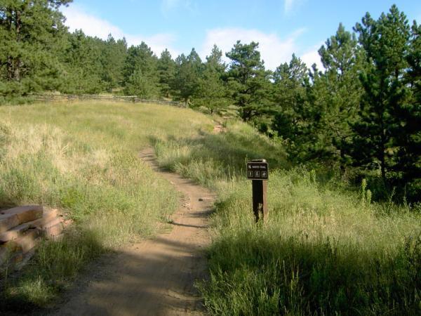 A dirt path winding through a grassy area, bordered by tall pine trees. A wooden signpost stands beside the trail, indicating directions or information for hikers. The sky above is clear, suggesting a sunny day. Heil Valley Ranch mountain bike trail.