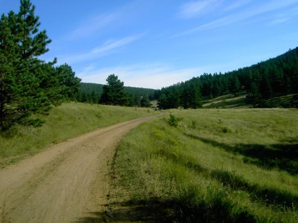 A winding dirt path through a grassy landscape, surrounded by tall green trees under a blue sky with wispy clouds. The scene captures a peaceful, natural setting ideal for outdoor activities. Heil Valley Ranch mountain bike trail.